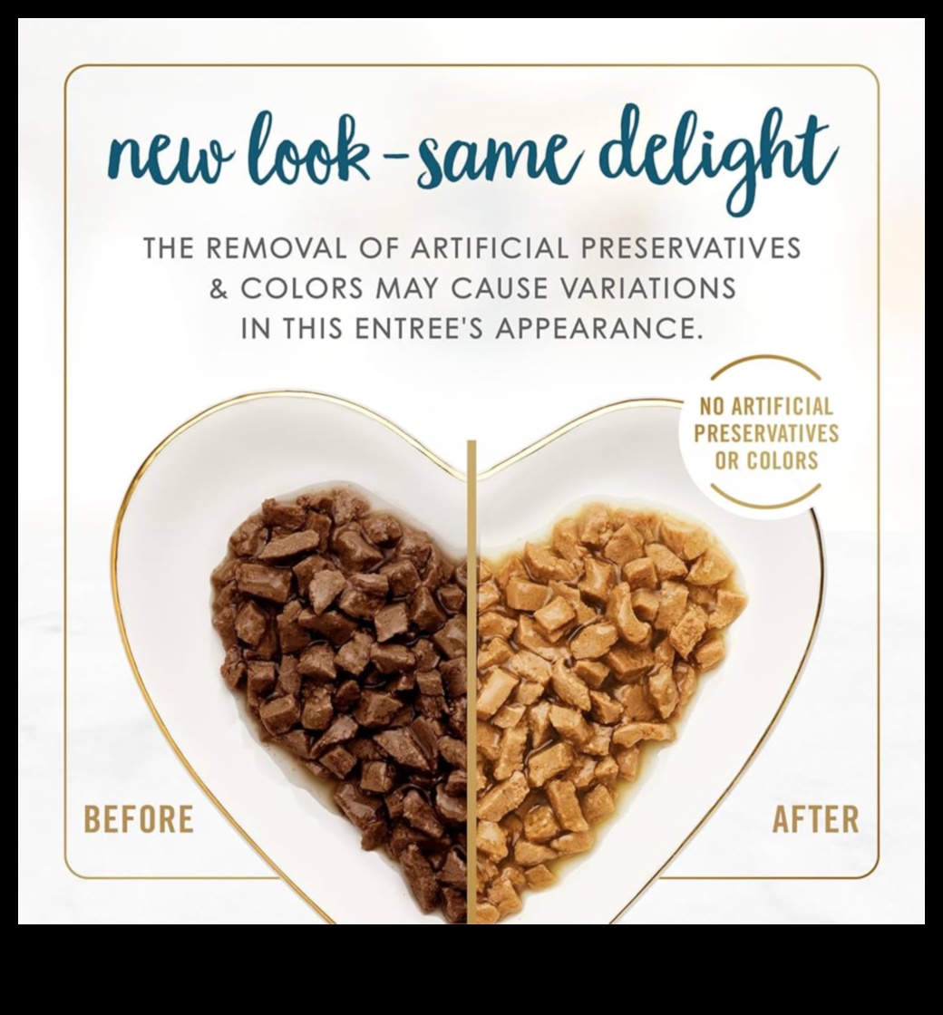 أناقة البروتين: المسرات الذواقة لإرضاء كل الأذواق