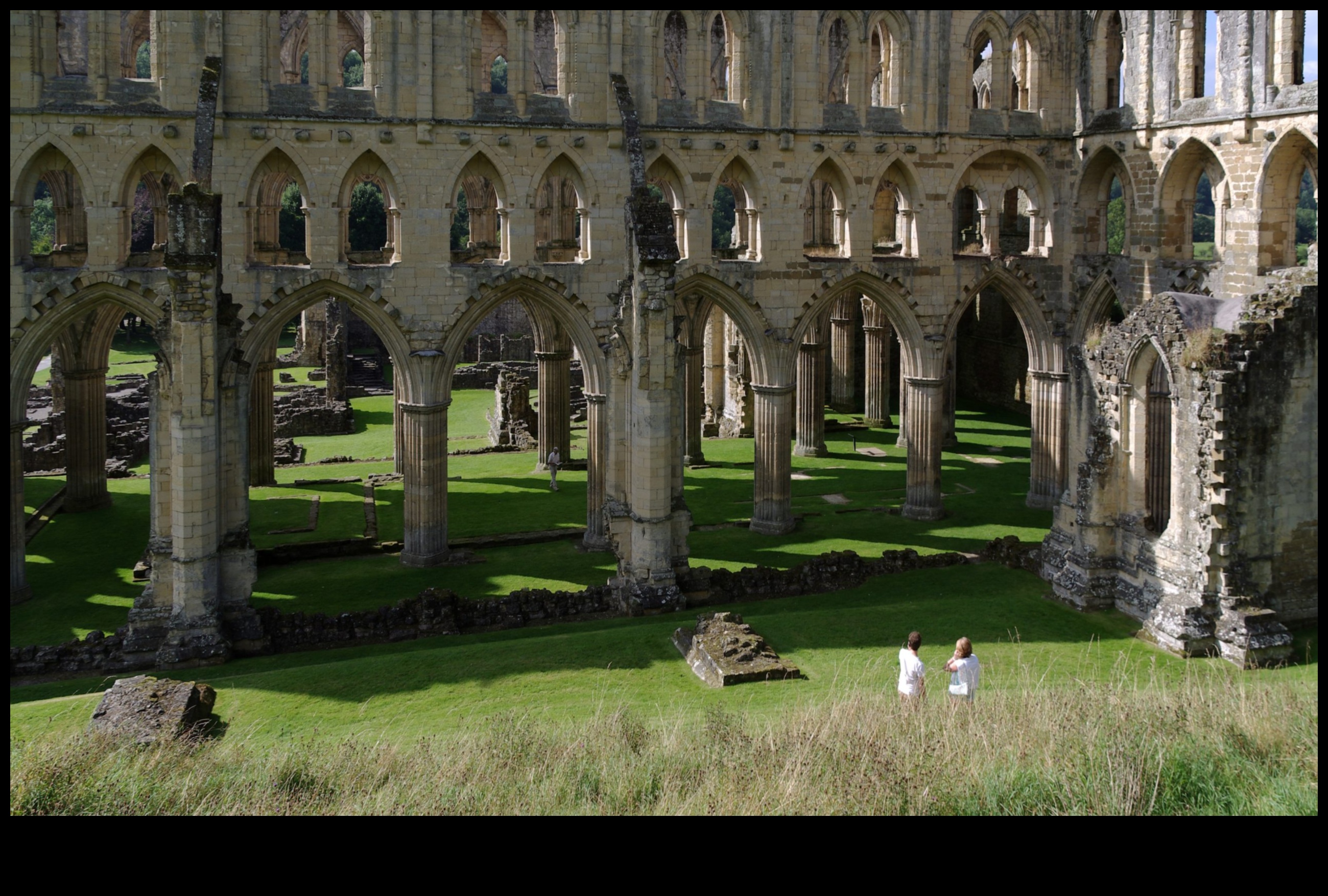 سجلات منعزلة: مشاهد من الحياة اليومية في الأديرة القوطية