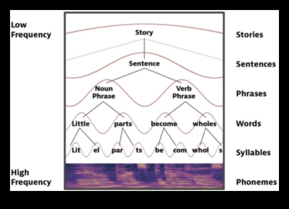 تناغم الشكل والوظيفة: حيث تتحول الأفكار إلى منتجات