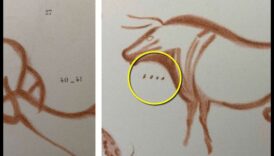 النقوش الصخرية على عصور ما قبل الماضي التاريخي تفك رموز العمل الفني الصخري التقليدي 1 ألغاز الفن الصخري: فك رموز الرموز الصخرية في عصور ما قبل التاريخ