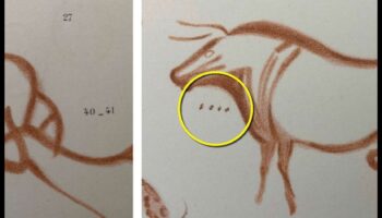 ألغاز الفن الصخري: فك رموز الرموز الصخرية في عصور ما قبل التاريخ