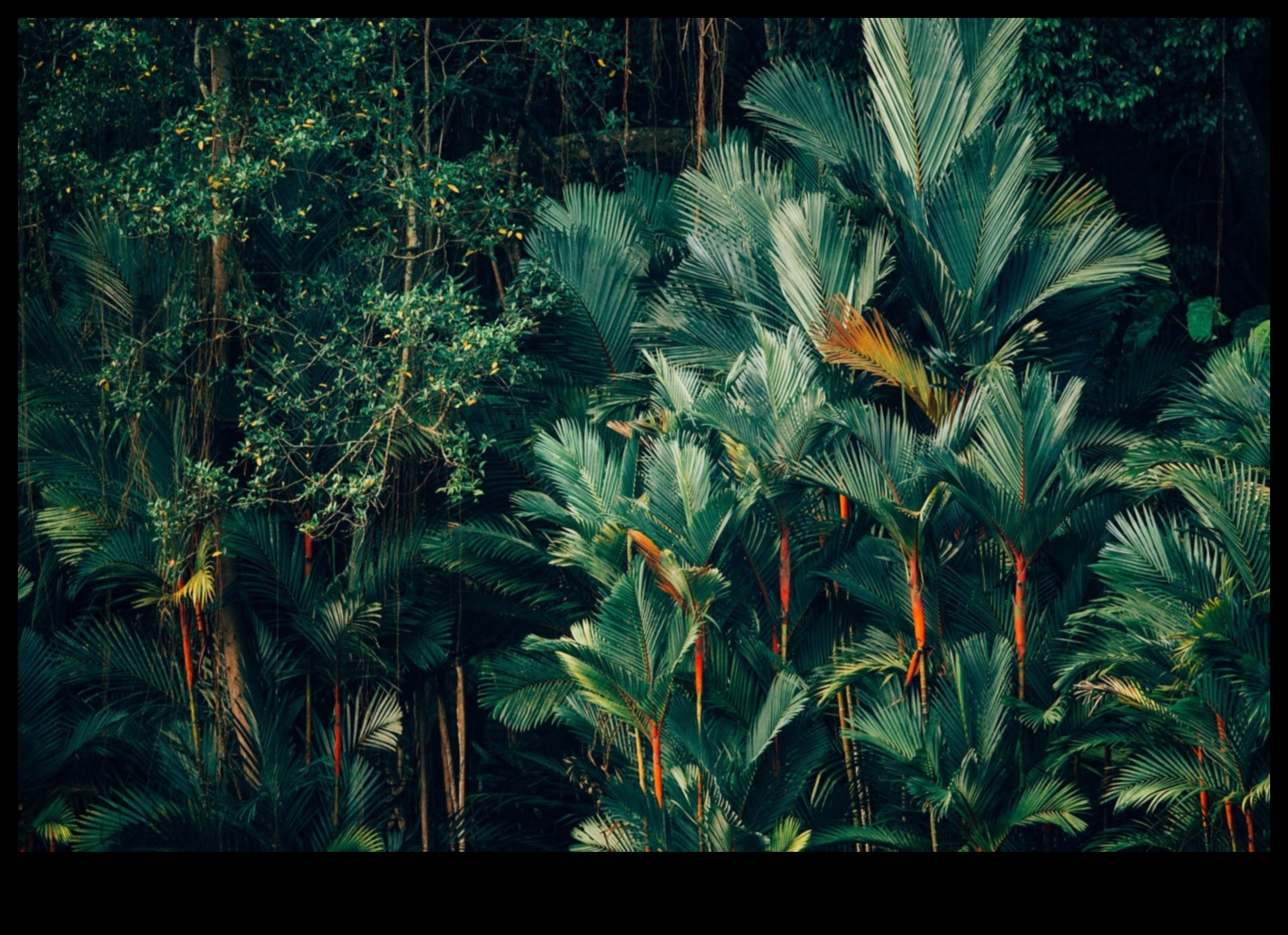 السيمفونية النظرية: تنسيق العناصر في التصميم والابتكار