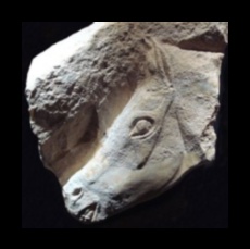 النقوش المبكرة: خلق أنماط في فن ما قبل التاريخ